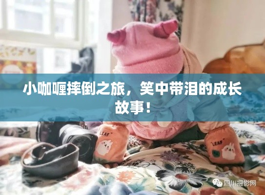 小咖喱摔倒之旅，笑中帶淚的成長(zhǎng)故事！