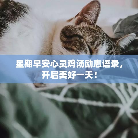 星期早安心靈雞湯勵志語錄，開啟美好一天！