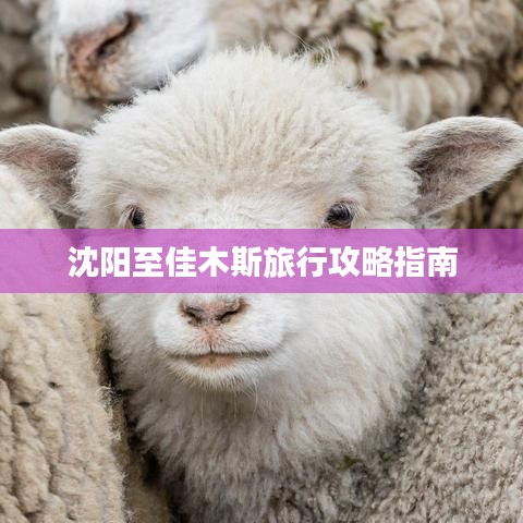 沈陽至佳木斯旅行攻略指南