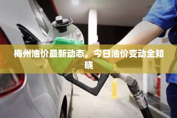梅州油價最新動態(tài)，今日油價變動全知曉