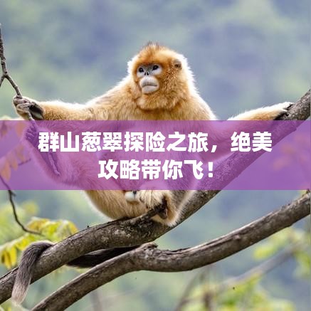 群山蔥翠探險之旅，絕美攻略帶你飛！