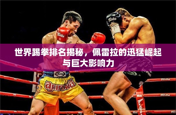 世界踢拳排名揭秘，佩雷拉的迅猛崛起與巨大影響力