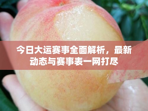 今日大運賽事全面解析，最新動態(tài)與賽事表一網打盡