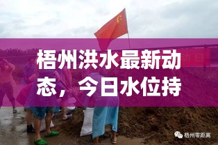 梧州洪水最新動(dòng)態(tài)，今日水位持續(xù)上漲