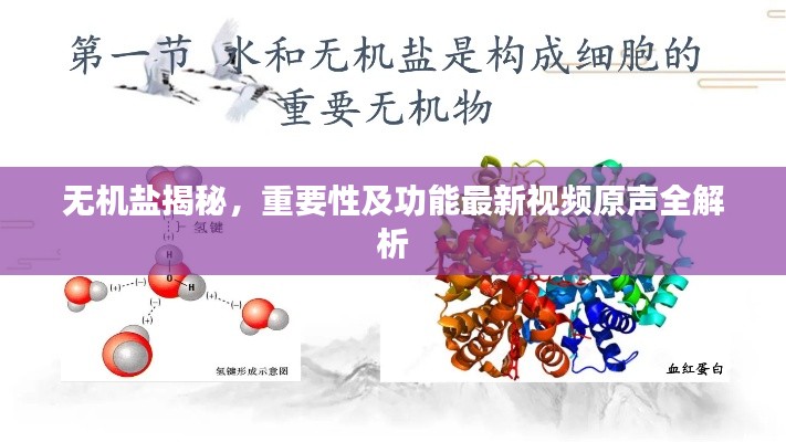 無機(jī)鹽揭秘，重要性及功能最新視頻原聲全解析