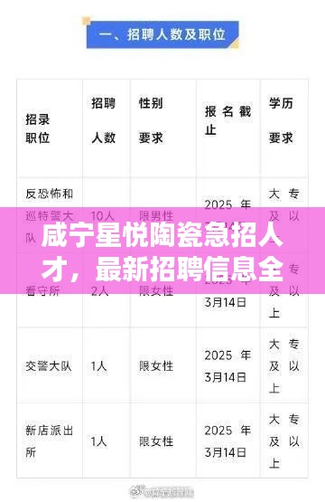咸寧星悅陶瓷急招人才，最新招聘信息全解析