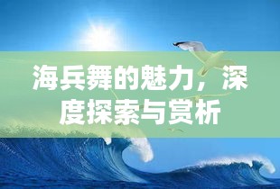 海兵舞的魅力，深度探索與賞析