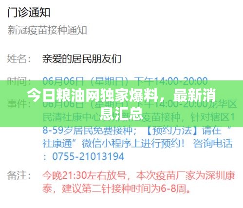 今日糧油網(wǎng)獨(dú)家爆料，最新消息匯總