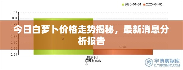 今日白蘿卜價格走勢揭秘，最新消息分析報告