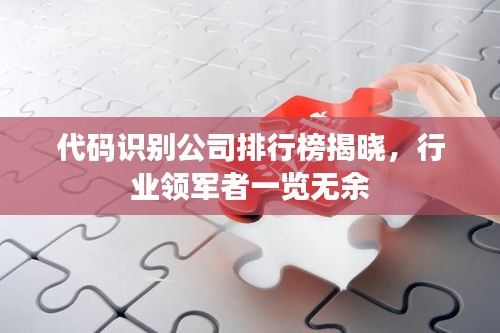 代碼識別公司排行榜揭曉，行業(yè)領軍者一覽無余