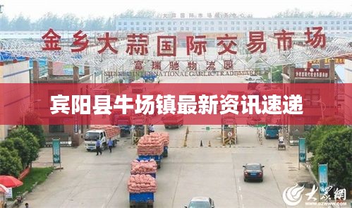 賓陽(yáng)縣牛場(chǎng)鎮(zhèn)最新資訊速遞