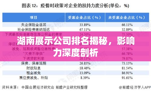 湖南展示公司排名揭秘，影響力深度剖析