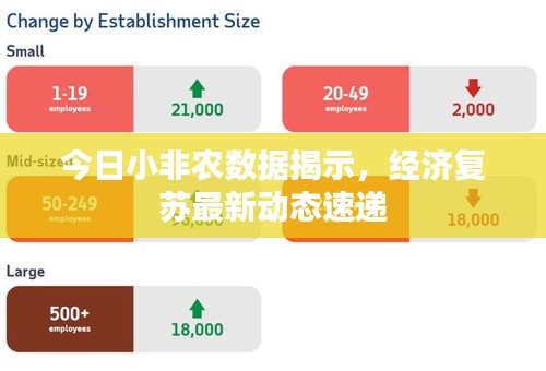 今日小非農(nóng)數(shù)據(jù)揭示，經(jīng)濟(jì)復(fù)蘇最新動(dòng)態(tài)速遞