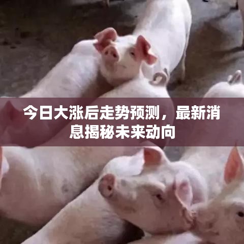 今日大漲后走勢預(yù)測，最新消息揭秘未來動向