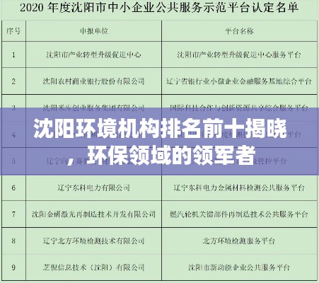 沈陽(yáng)環(huán)境機(jī)構(gòu)排名前十揭曉，環(huán)保領(lǐng)域的領(lǐng)軍者