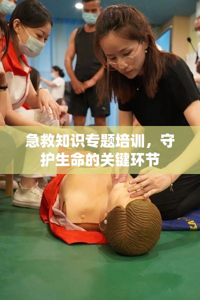 急救知識(shí)專題培訓(xùn)，守護(hù)生命的關(guān)鍵環(huán)節(jié)