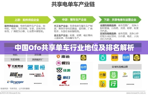 中國(guó)Ofo共享單車行業(yè)地位及排名解析