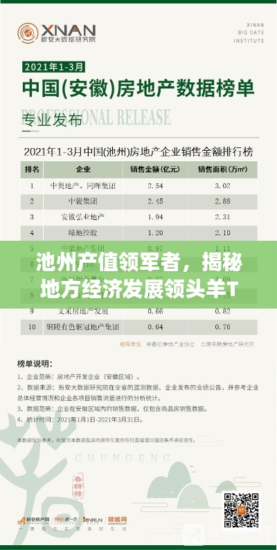池州產(chǎn)值領(lǐng)軍者，揭秘地方經(jīng)濟(jì)發(fā)展領(lǐng)頭羊TOP10企業(yè)名單