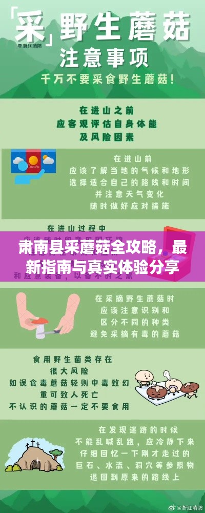 肅南縣采蘑菇全攻略，最新指南與真實(shí)體驗(yàn)分享