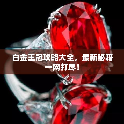 白金王冠攻略大全，最新秘籍一網(wǎng)打盡！