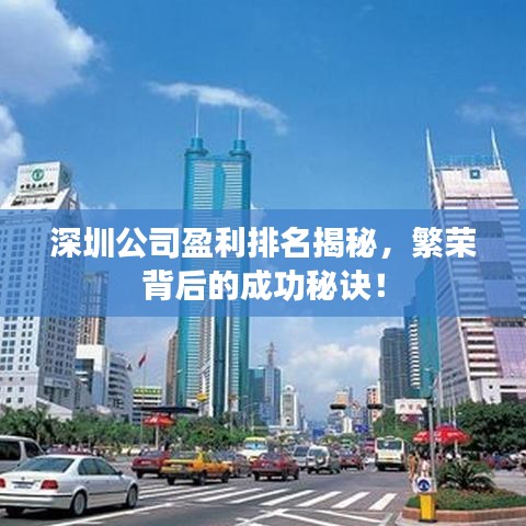 深圳公司盈利排名揭秘，繁榮背后的成功秘訣！
