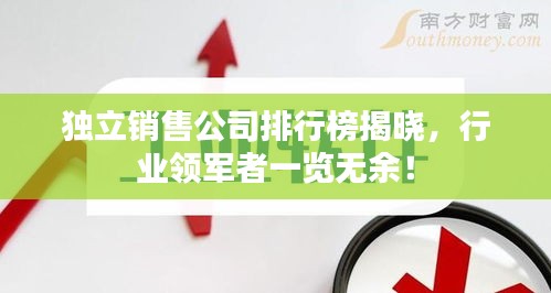 獨(dú)立銷售公司排行榜揭曉，行業(yè)領(lǐng)軍者一覽無(wú)余！