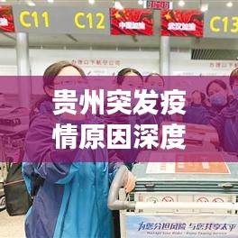 貴州突發(fā)疫情原因深度解析