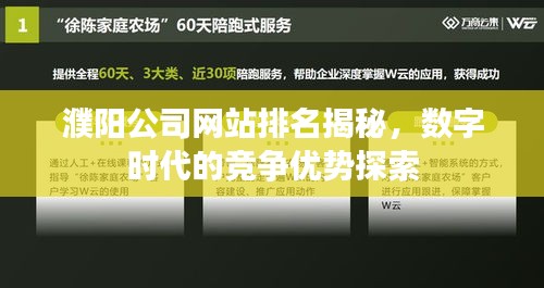 濮陽公司網站排名揭秘，數字時代的競爭優(yōu)勢探索