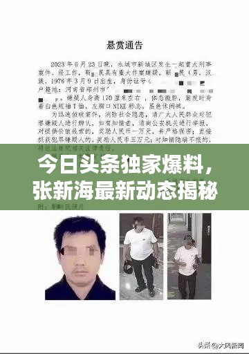 今日頭條獨家爆料，張新海最新動態(tài)揭秘！