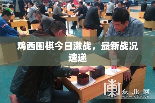 雞西圍棋今日激戰(zhàn)，最新戰(zhàn)況速遞