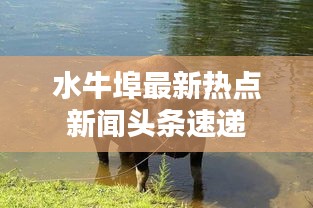 水牛埠最新熱點新聞頭條速遞