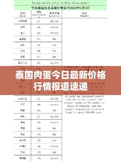 泰國(guó)肉蛋今日最新價(jià)格行情報(bào)道速遞