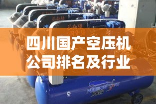 四川國產(chǎn)空壓機(jī)公司排名及行業(yè)影響力揭秘，誰領(lǐng)風(fēng)騷？