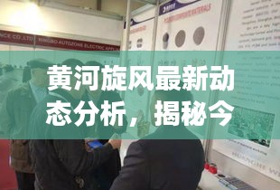 黃河旋風(fēng)最新動態(tài)分析，揭秘今日市場走勢