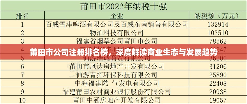 莆田市公司注冊排名榜，深度解讀商業(yè)生態(tài)與發(fā)展趨勢