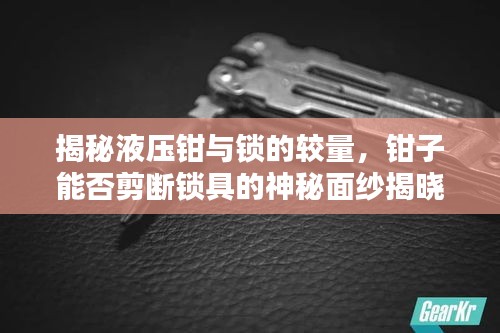 揭秘液壓鉗與鎖的較量，鉗子能否剪斷鎖具的神秘面紗揭曉！
