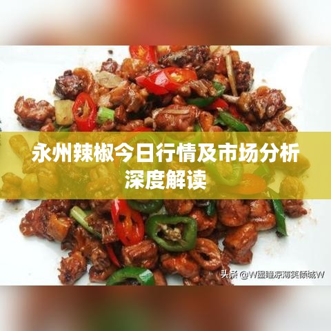 永州辣椒今日行情及市場(chǎng)分析深度解讀