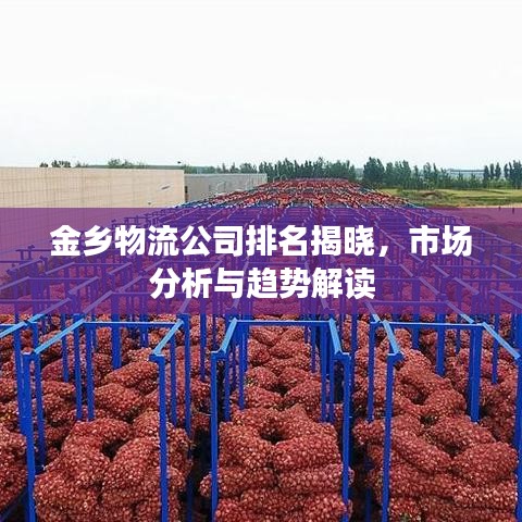金鄉(xiāng)物流公司排名揭曉，市場分析與趨勢解讀