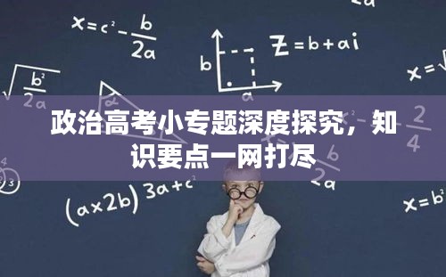 政治高考小專題深度探究，知識要點一網(wǎng)打盡