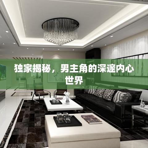 獨(dú)家揭秘，男主角的深邃內(nèi)心世界
